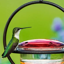 Load image into Gallery viewer, Hummble Slim Hummingbird Feeder
