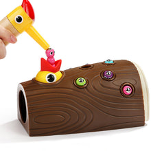 Load image into Gallery viewer, Worm Feeding Toy
