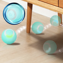Load image into Gallery viewer, 2 in 1 Simulated Interactive Hunting Cat Toy
