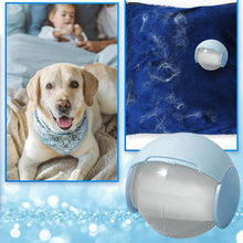 Load image into Gallery viewer, Mini Pet Hair Remover
