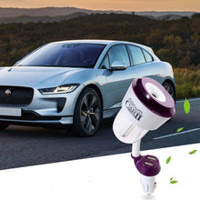 Load image into Gallery viewer, Car Air Purification Humidifier
