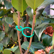 Load image into Gallery viewer, Practical garden plant holder (50 pieces)
