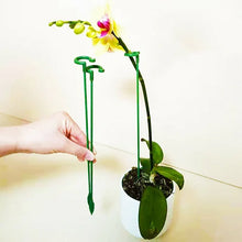 Load image into Gallery viewer, Plant Support Stake
