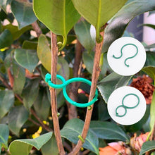 Load image into Gallery viewer, Practical garden plant holder (50 pieces)
