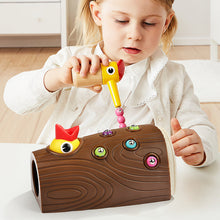 Load image into Gallery viewer, Worm Feeding Toy
