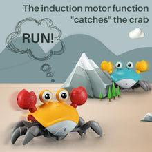 Load image into Gallery viewer, Crawling Crab Toy for Kids
