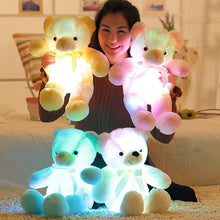 Load image into Gallery viewer, LED Teddy Bear
