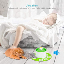 Load image into Gallery viewer, Automatic Pet Cat Water Fountain
