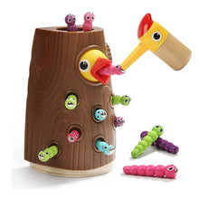 Load image into Gallery viewer, Worm Feeding Toy
