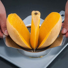 Load image into Gallery viewer, Stainless Steel Mango Peeling Separator
