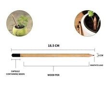 Load image into Gallery viewer, Sprout plantable graphite pencils - 8 Pcs

