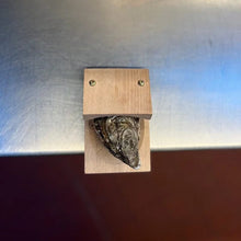 Load image into Gallery viewer, 🦪Oyster Shucking Clamp
