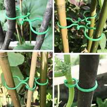 Load image into Gallery viewer, Practical garden plant holder (50 pieces)
