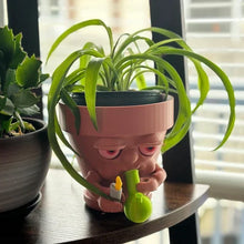 Load image into Gallery viewer, Pot Smoking Potted Planter

