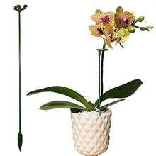 Load image into Gallery viewer, Plant Support Stake
