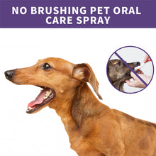 Load image into Gallery viewer, Teeth Cleaning Spray for Dogs &amp; Cats
