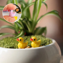 Load image into Gallery viewer, 🦆Tiny Ducks | Challenge Hiding Ducks(50 PCS)
