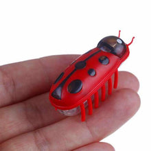 Load image into Gallery viewer, Super Robot Bug Toy for Cats - 2 Pcs
