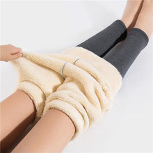Load image into Gallery viewer, Thick Slim Cashmere Warm Pants
