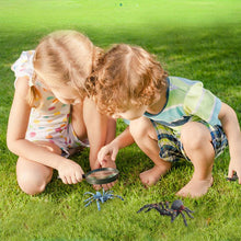 Load image into Gallery viewer, Simulation Spider Toy
