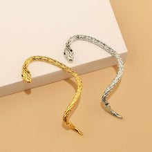 Load image into Gallery viewer, Creative Serpentine Zircon Earrings
