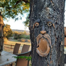 Load image into Gallery viewer, Unique Bird Feeders
