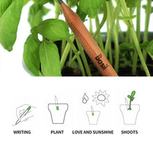 Load image into Gallery viewer, Sprout plantable graphite pencils - 8 Pcs
