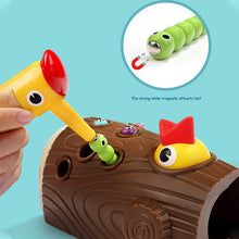 Load image into Gallery viewer, Worm Feeding Toy

