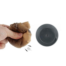 Load image into Gallery viewer, Cartoon Animal Model Toys
