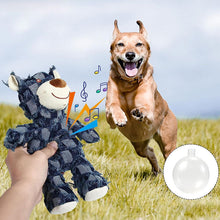 Load image into Gallery viewer, Indestructible Robust Bear
