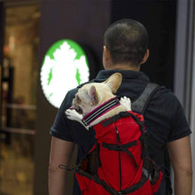 Load image into Gallery viewer, Double Backpack for the Pet Dog/Cat Passenger
