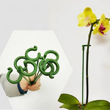 Load image into Gallery viewer, Plant Support Stake
