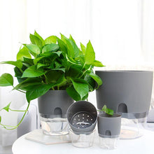 Load image into Gallery viewer, Self-watering Eco Pot
