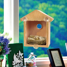 Load image into Gallery viewer, DIY Sucker Bird Nest
