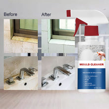 Load image into Gallery viewer, Mildew Cleaner Foam
