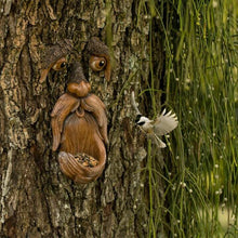 Load image into Gallery viewer, Unique Bird Feeders
