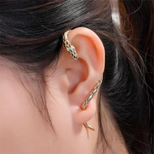 Load image into Gallery viewer, Creative Serpentine Zircon Earrings
