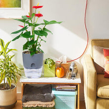 Load image into Gallery viewer, Self-watering Eco Pot
