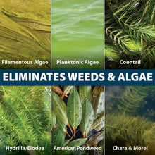 Load image into Gallery viewer, Algae Repellent Agent

