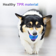 Load image into Gallery viewer, Dog Rubber Molar Toy
