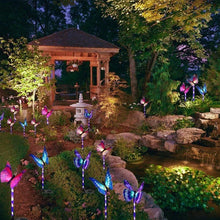Load image into Gallery viewer, Outdoor Solar Garden Butterfly Lights Decor
