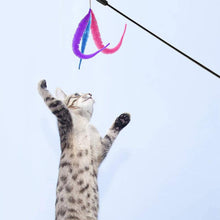 Load image into Gallery viewer, Twisty Fuzzy Worm Toys
