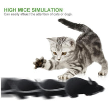 Load image into Gallery viewer, Remote Control Mouse Electric Cat Toy
