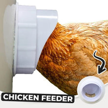 Load image into Gallery viewer, Feeding Kit Special Tools For Breeding Chickens Ducks Poultry Accessories
