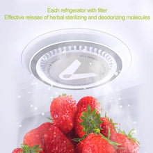 Load image into Gallery viewer, Refrigerator Air Clean Facility Filter
