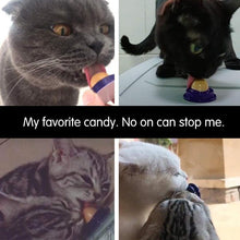 Load image into Gallery viewer, Cat Snack Nutrition Candy Ball
