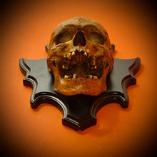 Load image into Gallery viewer, Shiny Skull Wall Décor
