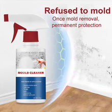 Load image into Gallery viewer, Mildew Cleaner Foam
