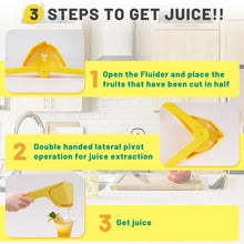 Load image into Gallery viewer, Manual Juicer
