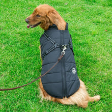 Load image into Gallery viewer, Winter Zipper Coat for Dogs
